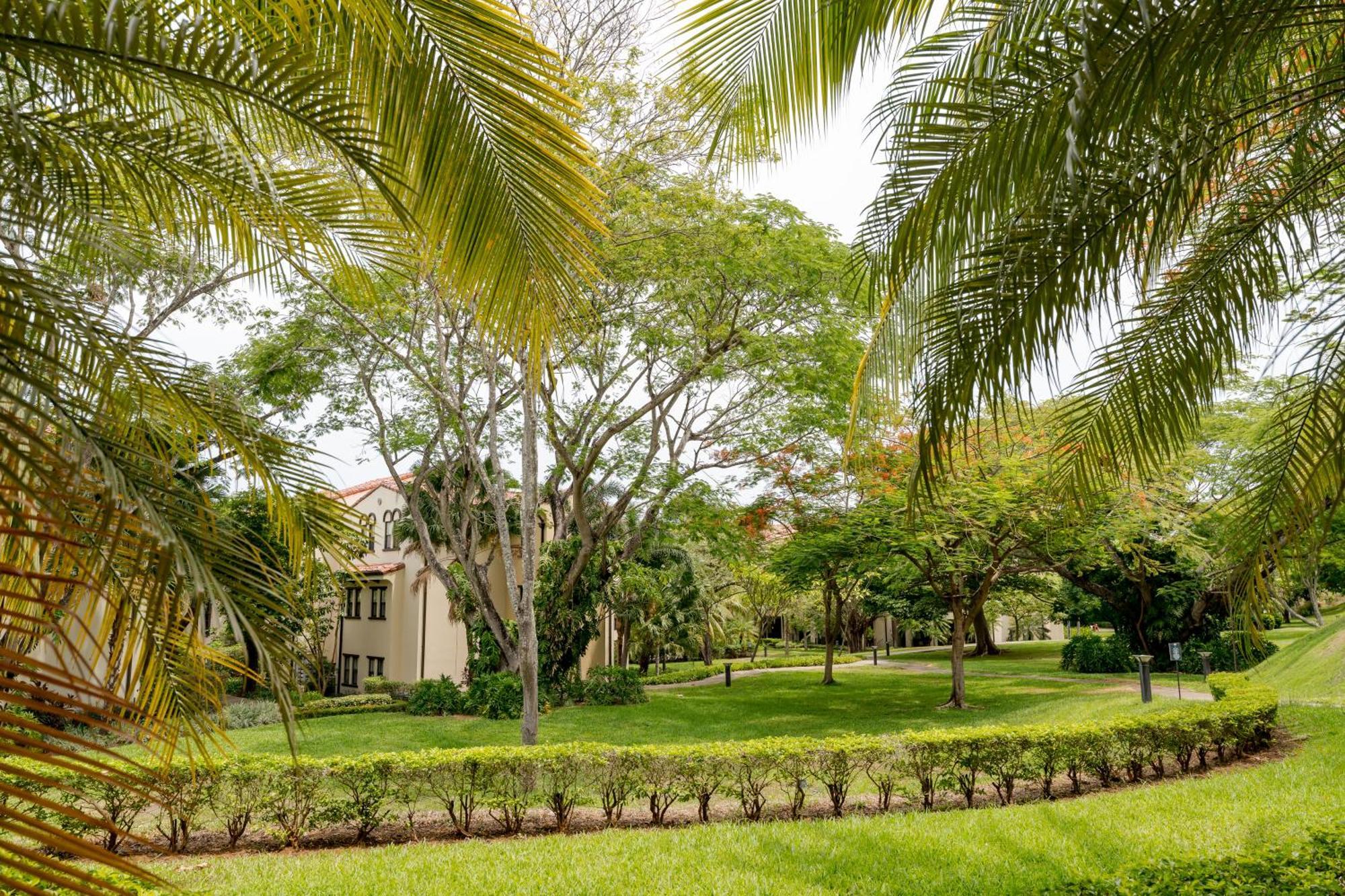 Coco Breeze Private Residence Εξωτερικό φωτογραφία